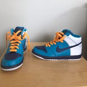 1/1 Nike Dunk